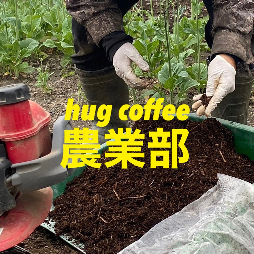 【hug coffee農業部】空心菜の種まき