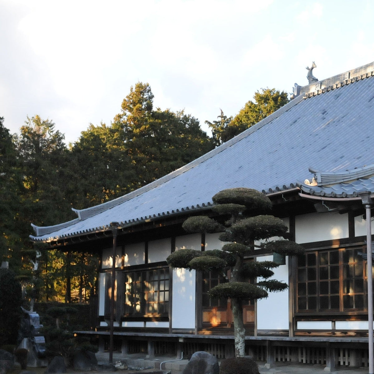 DSC_6699_bace6346-576b-4969-