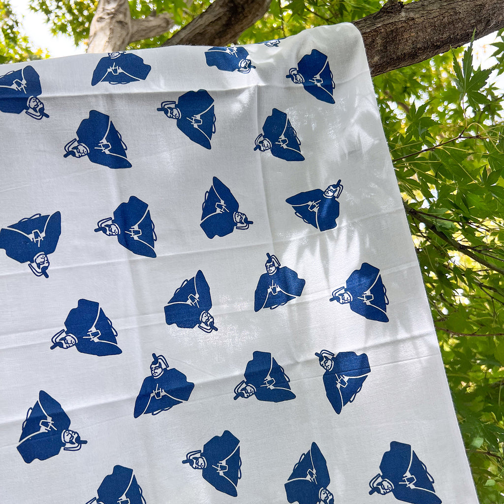 ＊EC限定＊【歴史博物館オリジナルグッズセット】家康手ぬぐい&クリアファイルセット